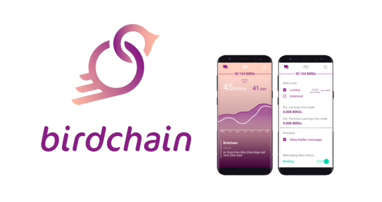 birdchain-ico-768x407.png