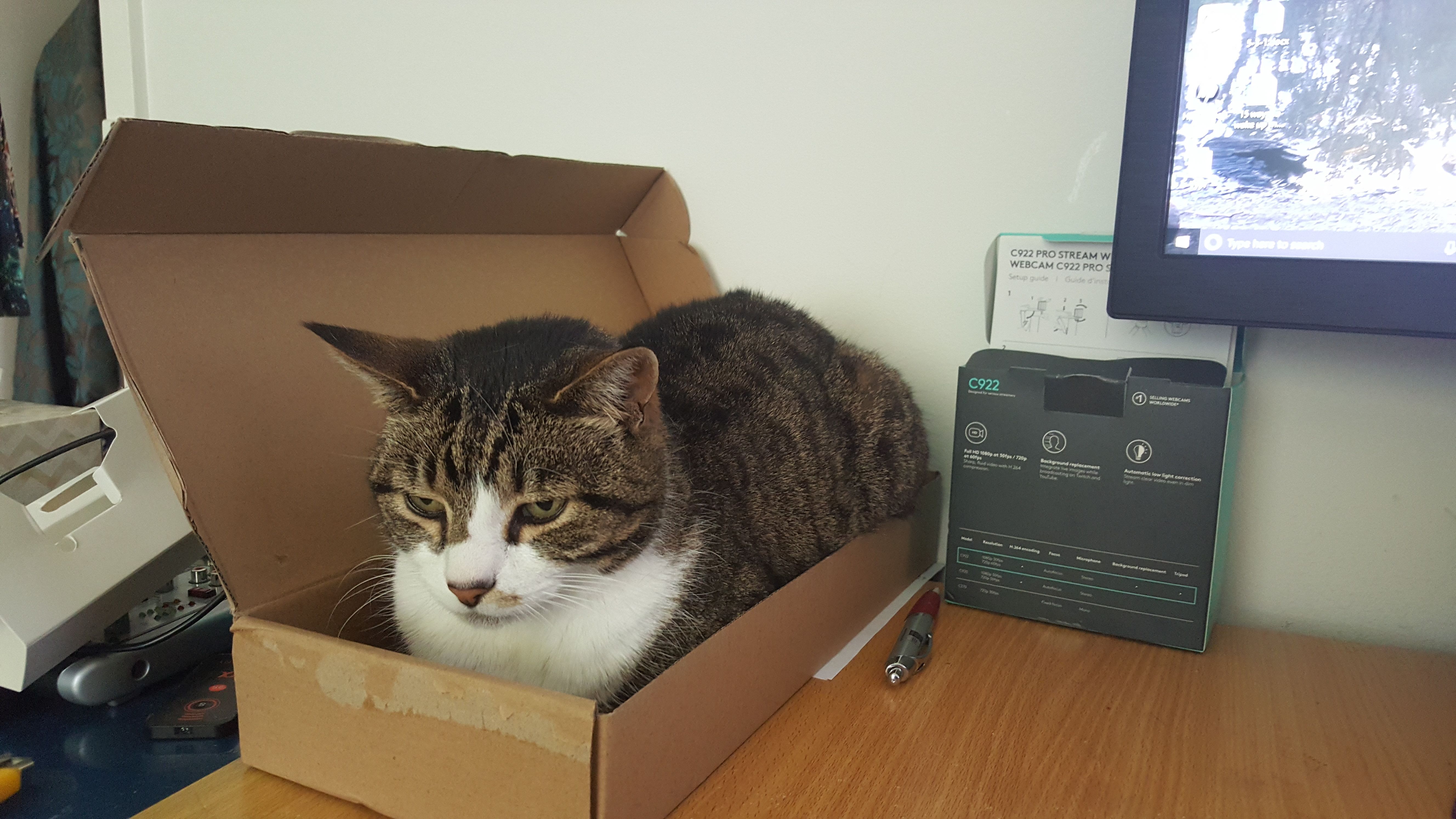 20171108_171445.jpg