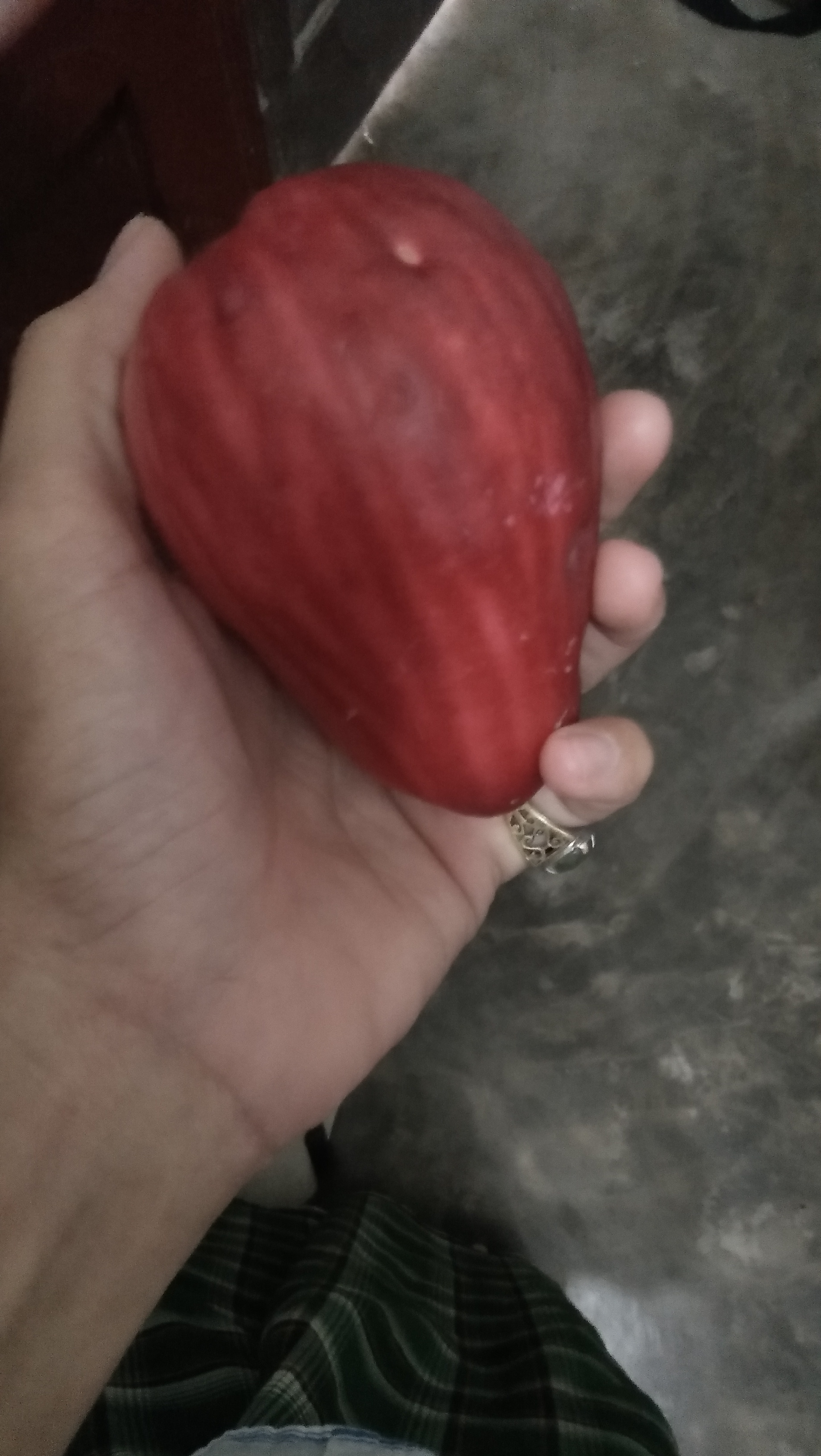 IMG20180212170655.jpg