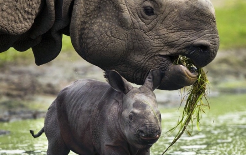 perda_de_biodiversidade_ameaca_ecossistemas_do_planeta_diz_estudo-jornal-a-gazeta_large.jpg