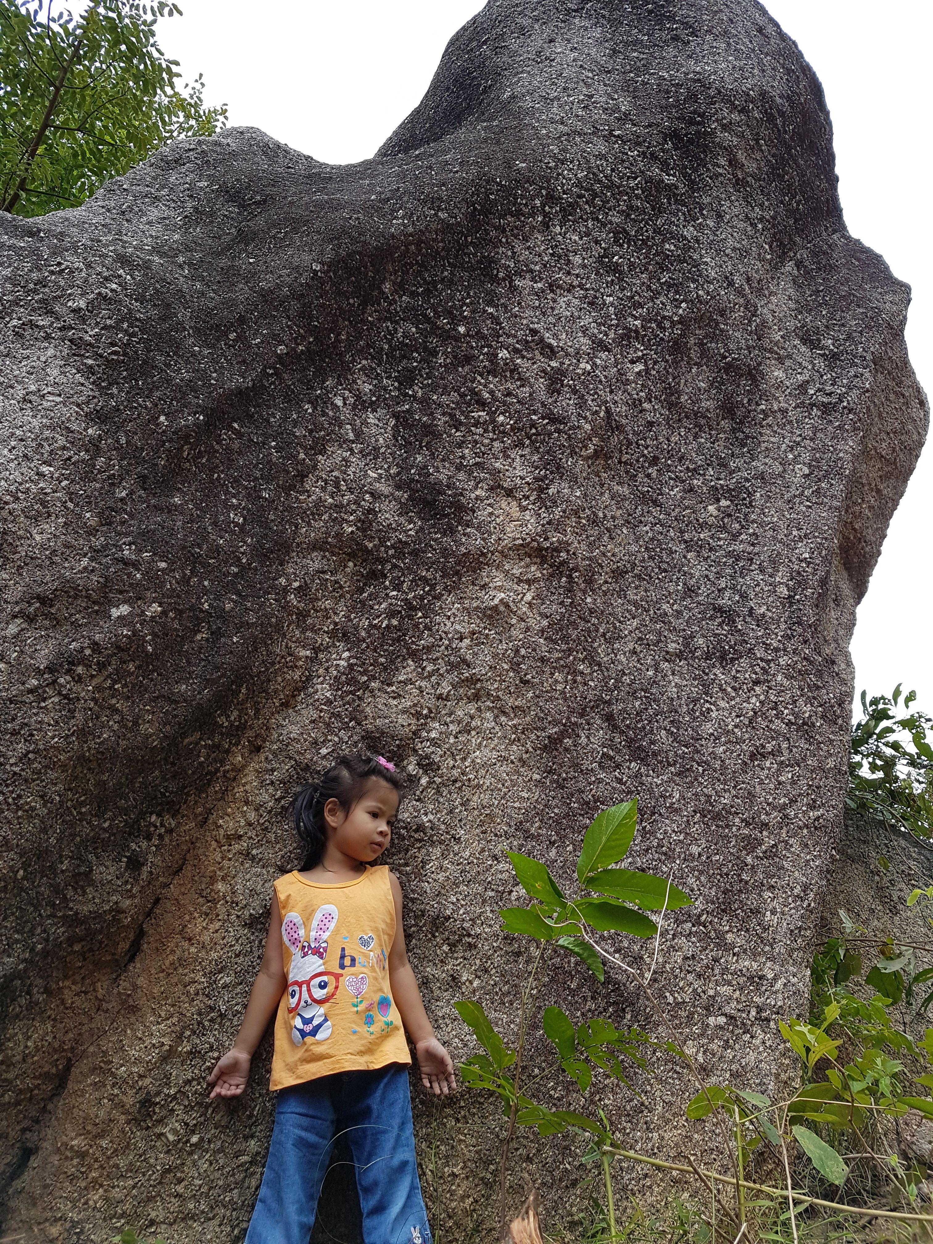 20170913_110231.jpg