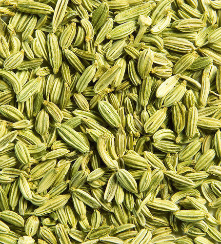 Fennel Seeds market.jpg