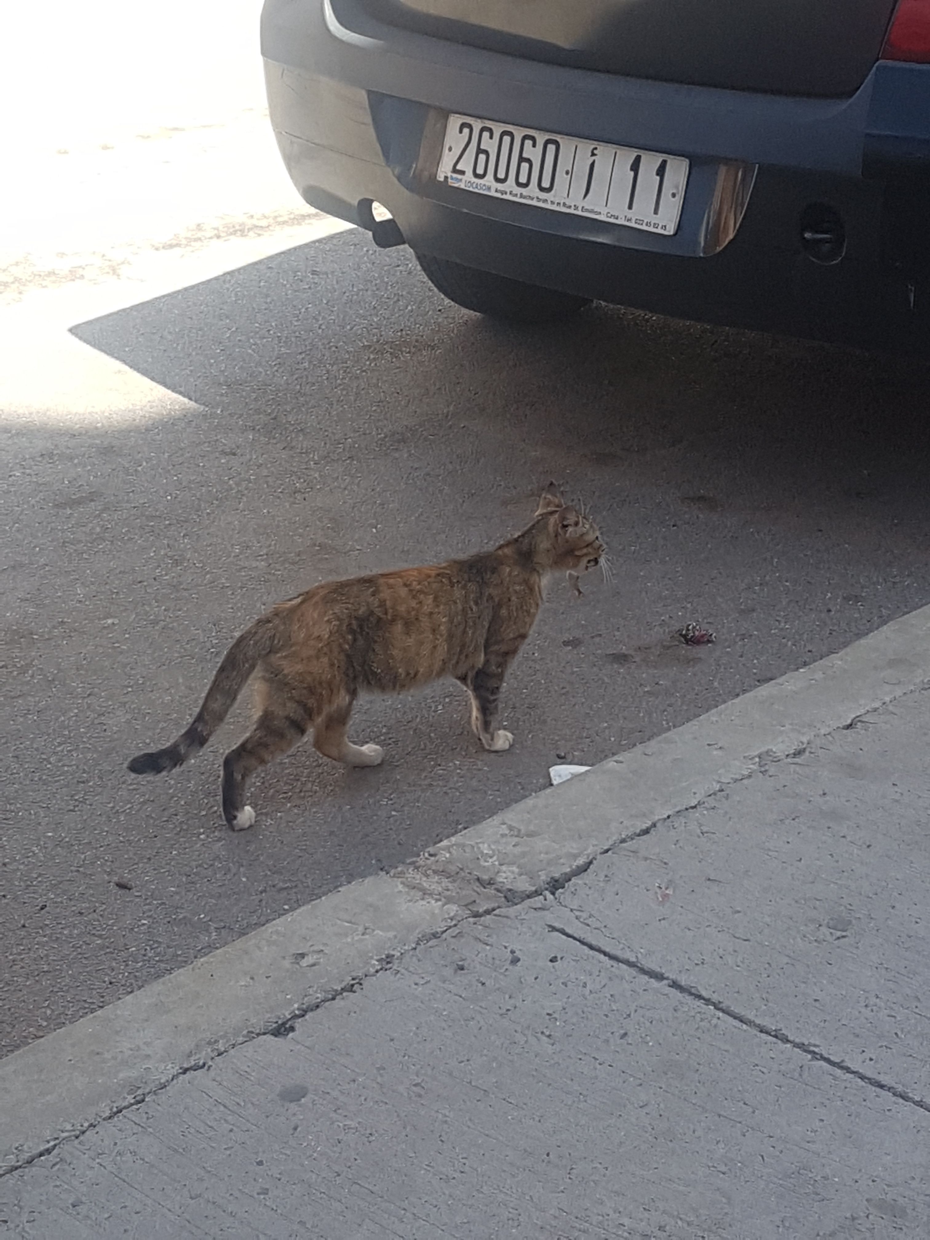 20180415_121718.jpg