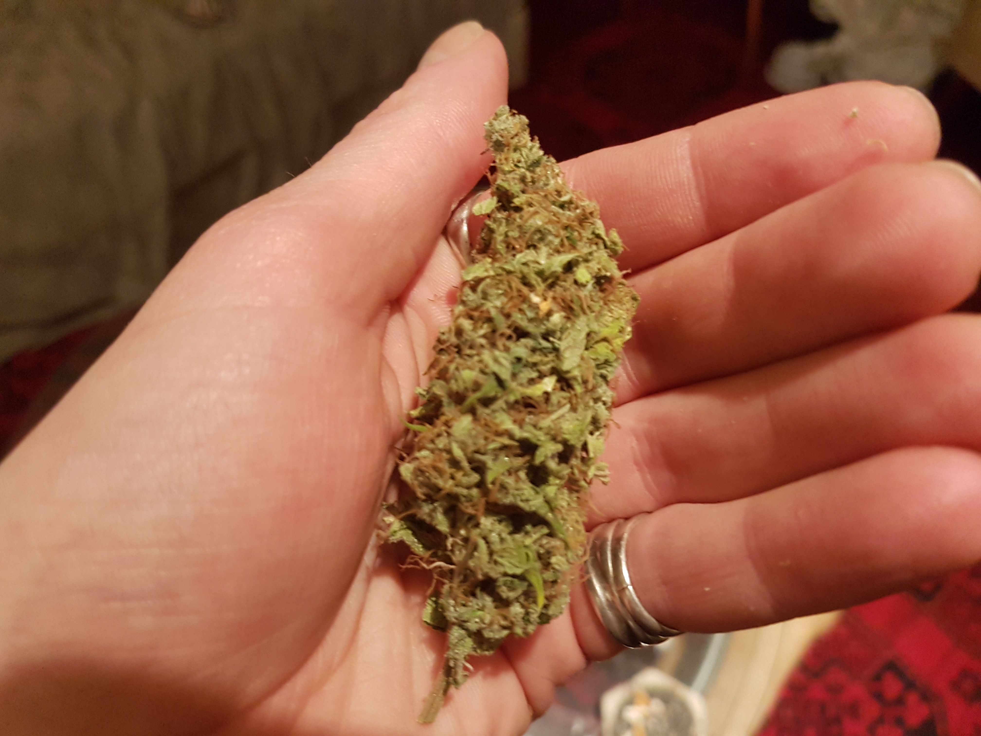 20180331_223229.jpg