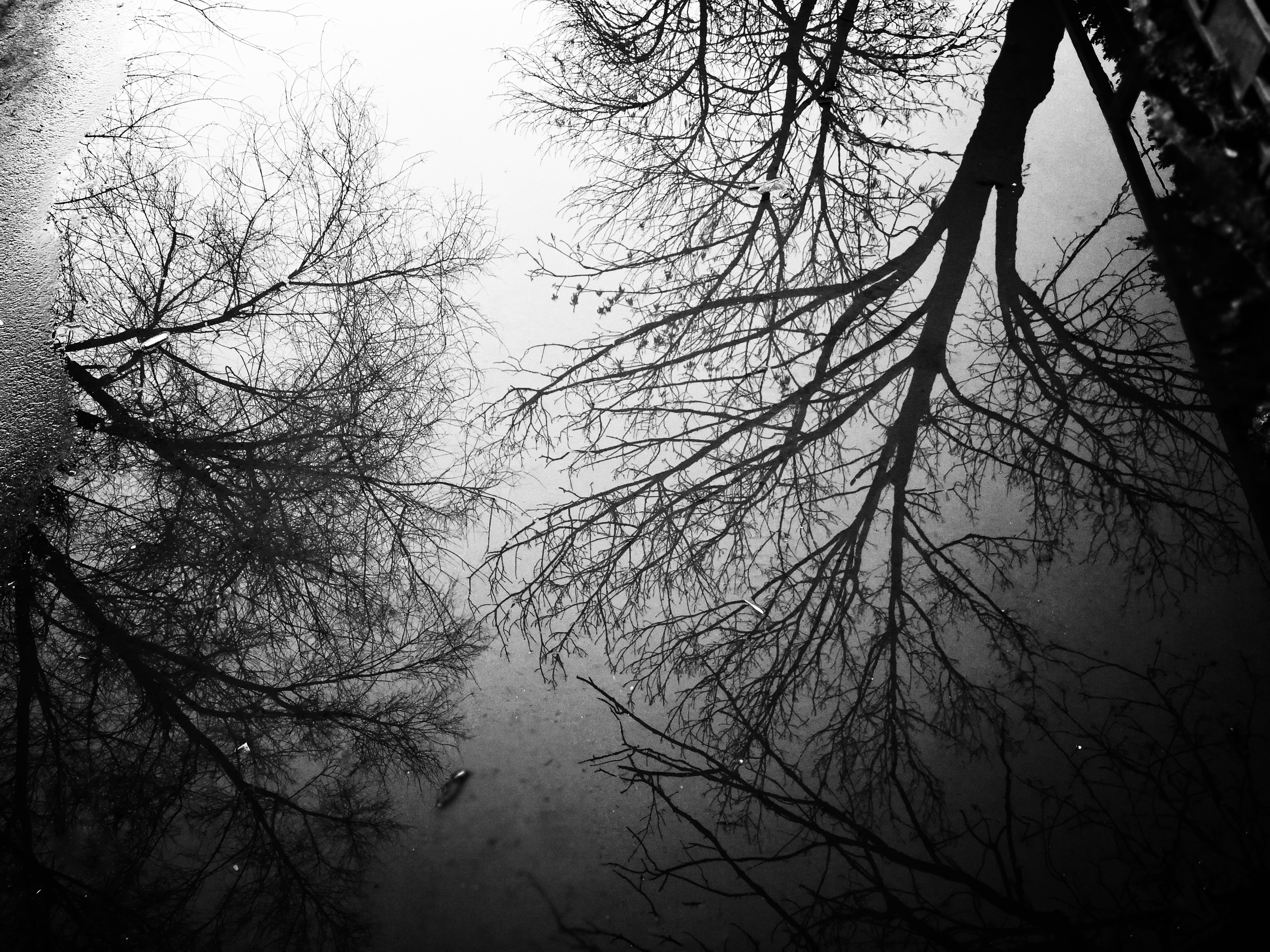 reflections.png