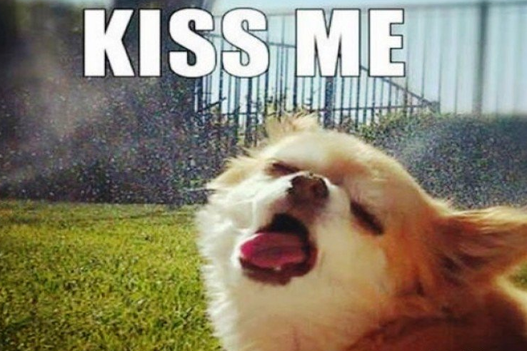 Kiss Me.png