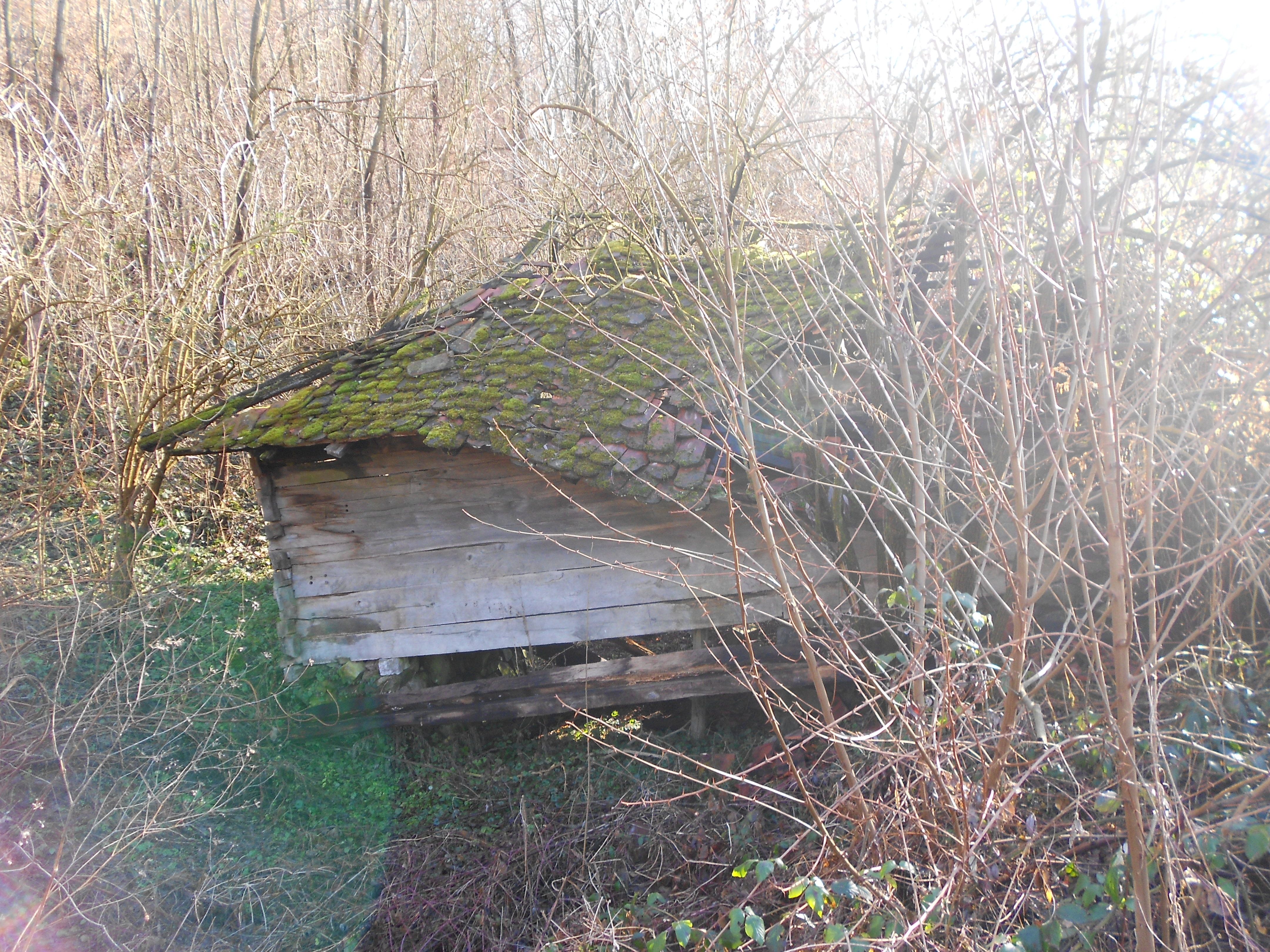 DSCN2850.JPG