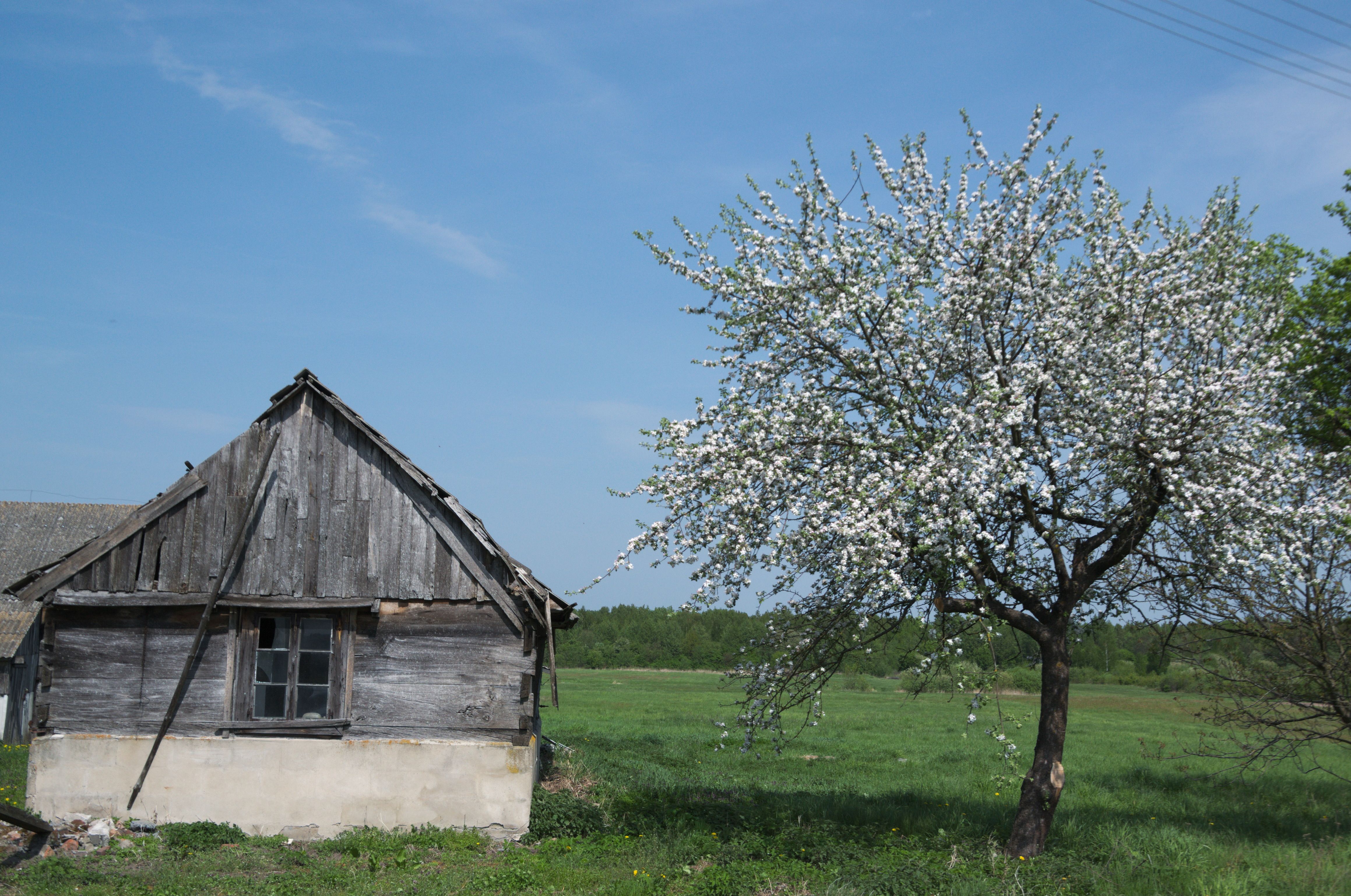 DSC_0292.jpg