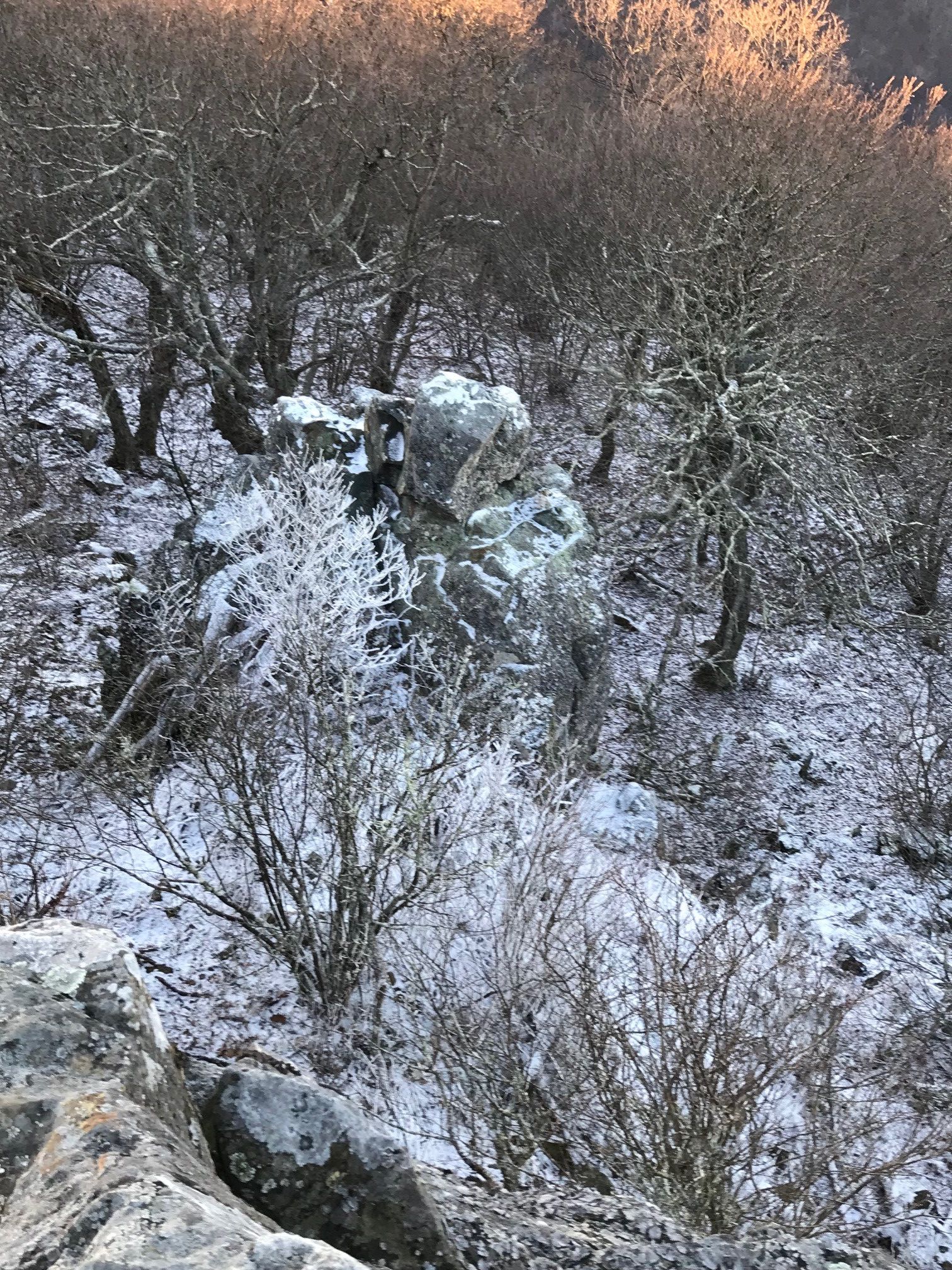 hike 3 2017.jpg
