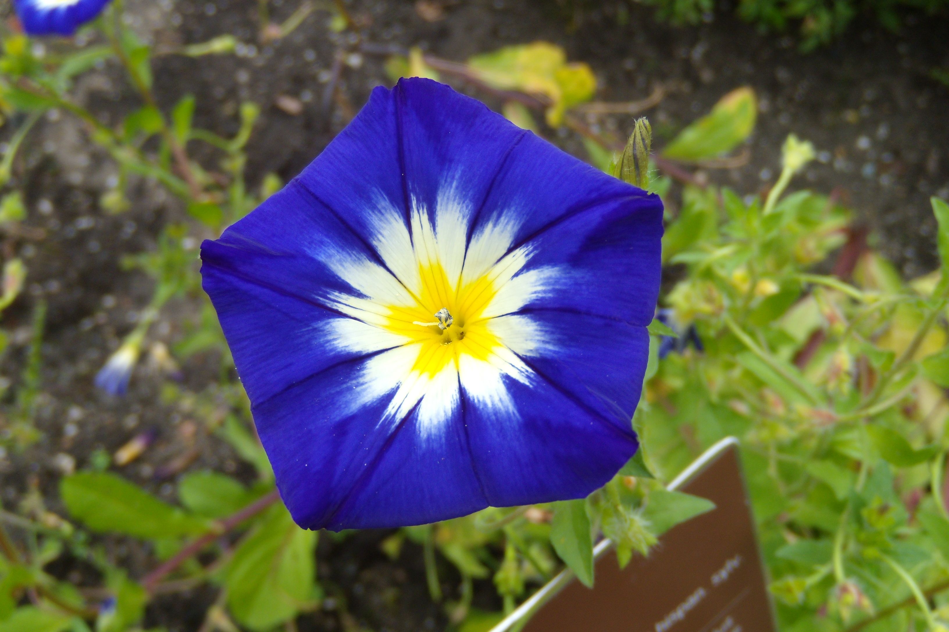 DSCN8130.JPG