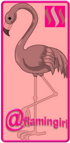 logo rosado flamingo.jpg