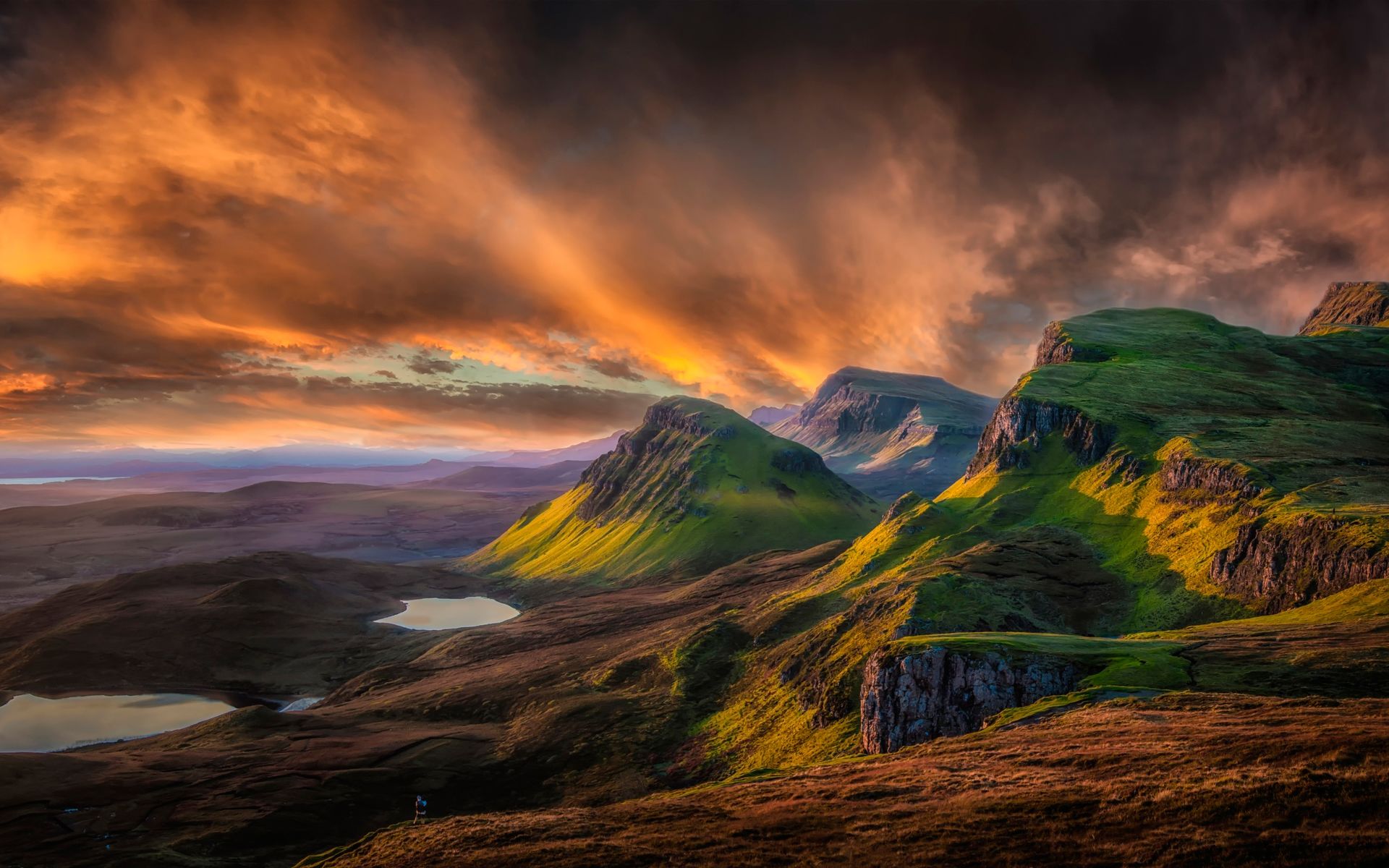 《飞鸟与夏花》每天一首自译飞鸟集（50/325） - Translate a poem form Stray Birds everyday