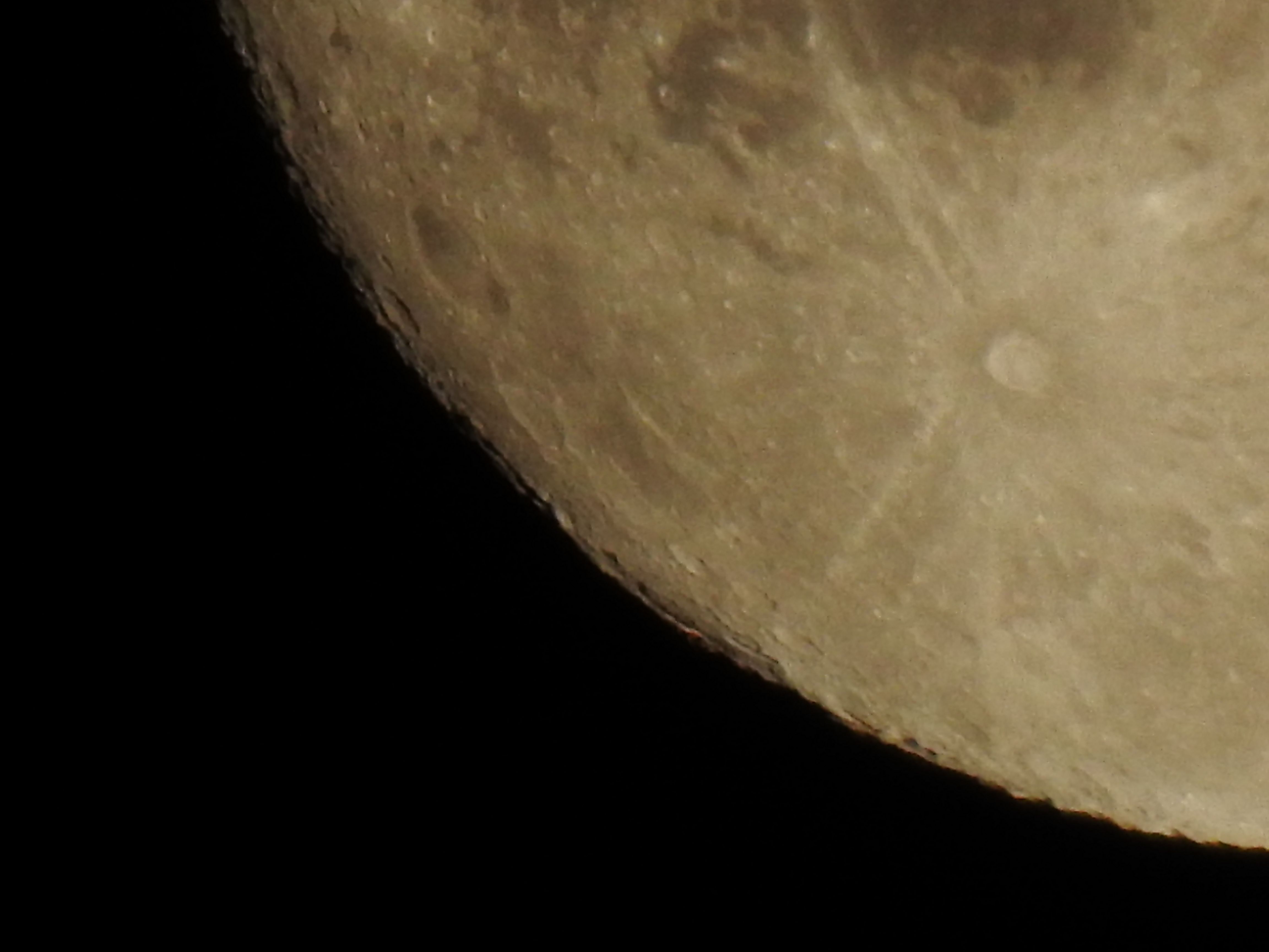 DSCN0591.JPG
