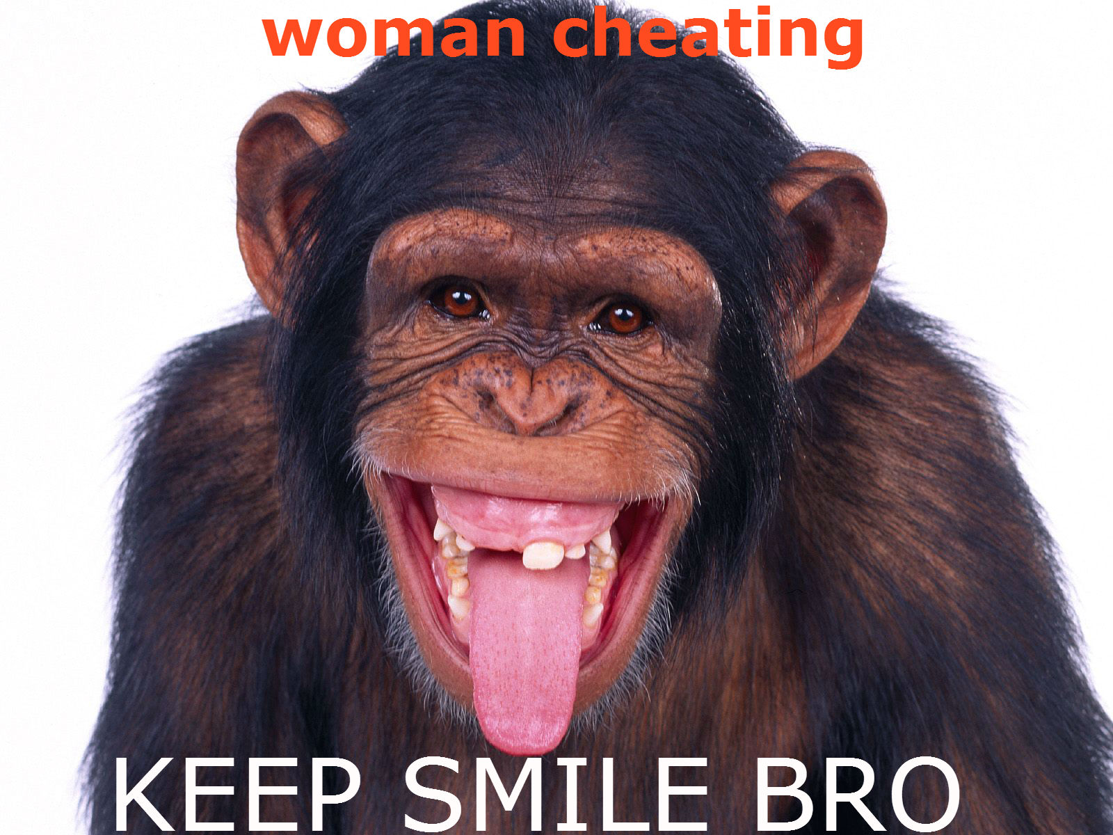 monkey.jpg
