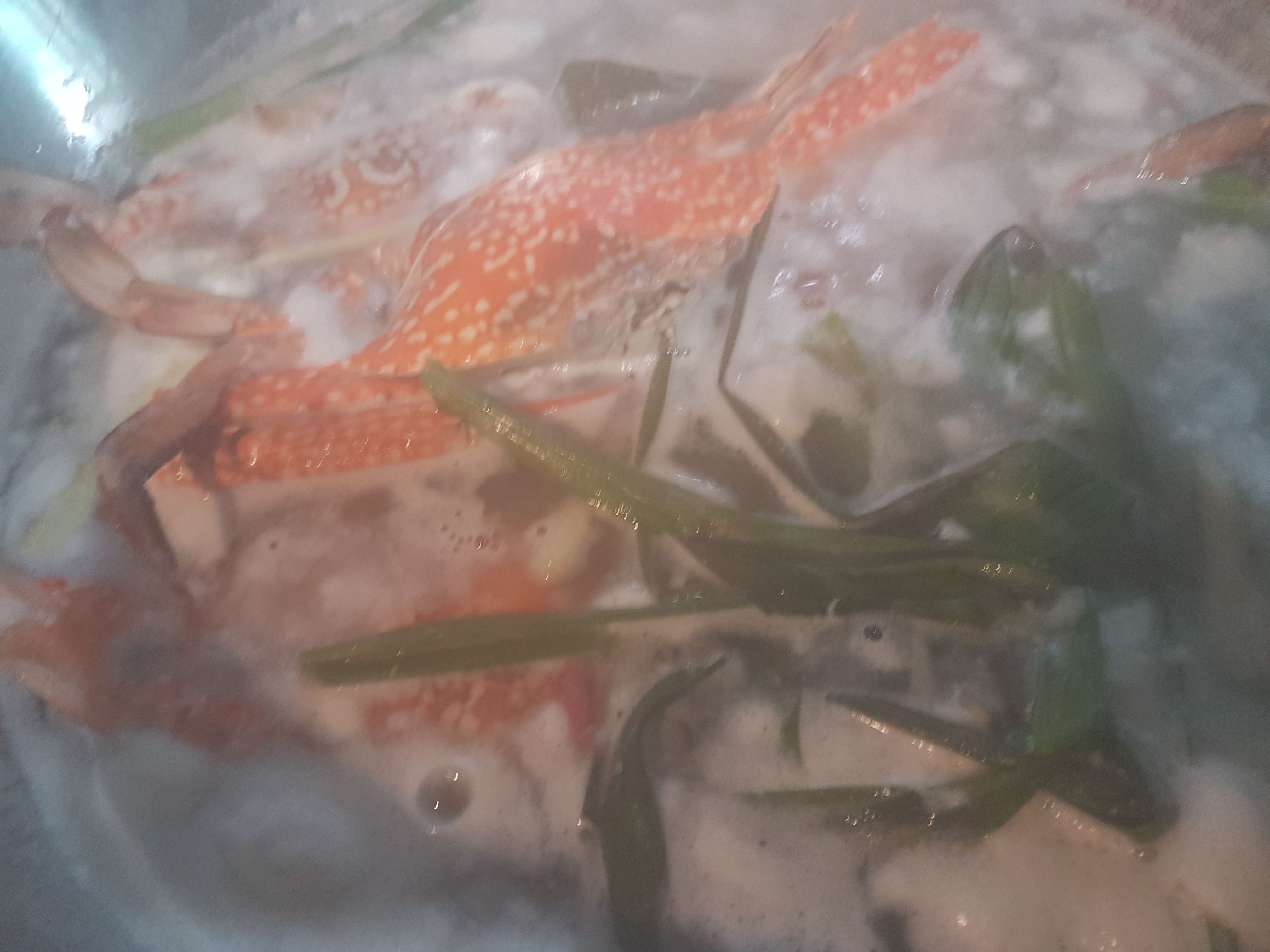 20171109_105917.jpg