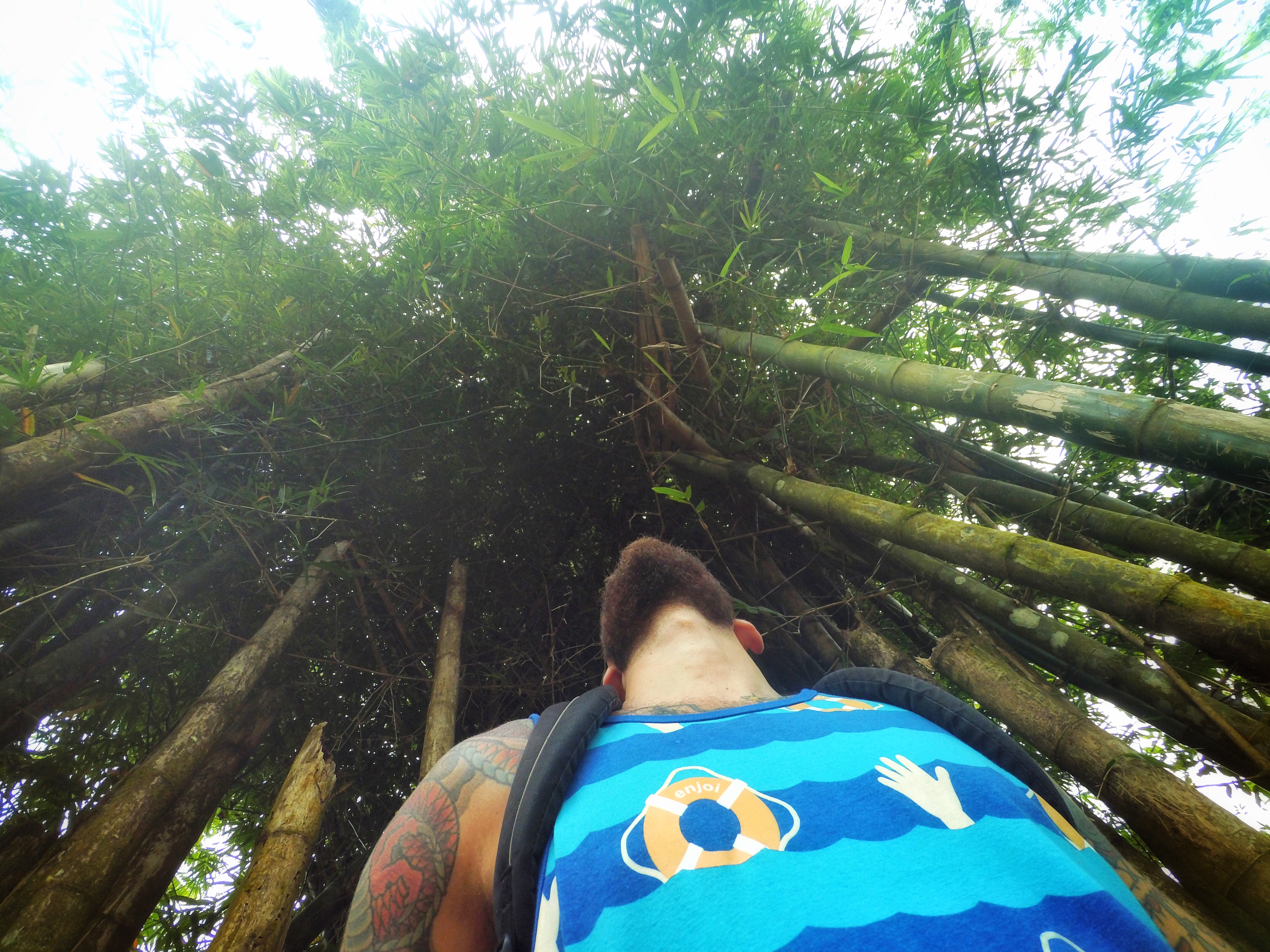 bamboo-selfie-up.jpg