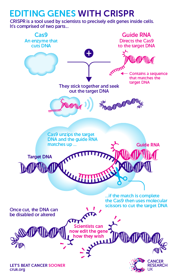 180209-CRISPR-how-it-works-BLOG.png