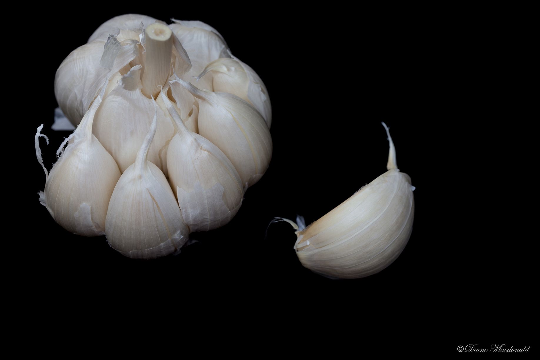 garlic bulb.jpg