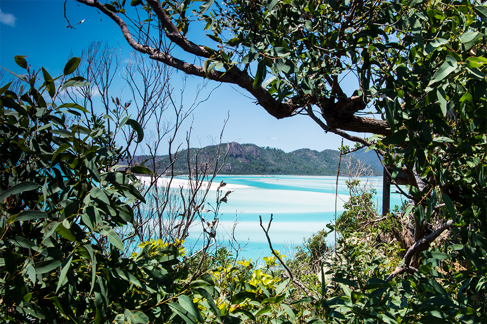 04_whitsundays3.jpg