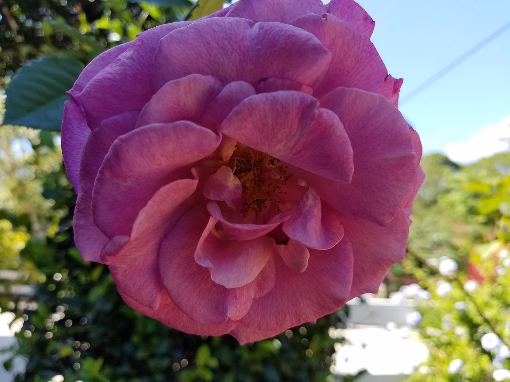 20180324_151702.jpg