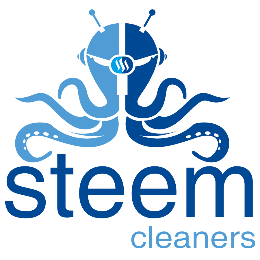 Steem Cleaners Logo.png