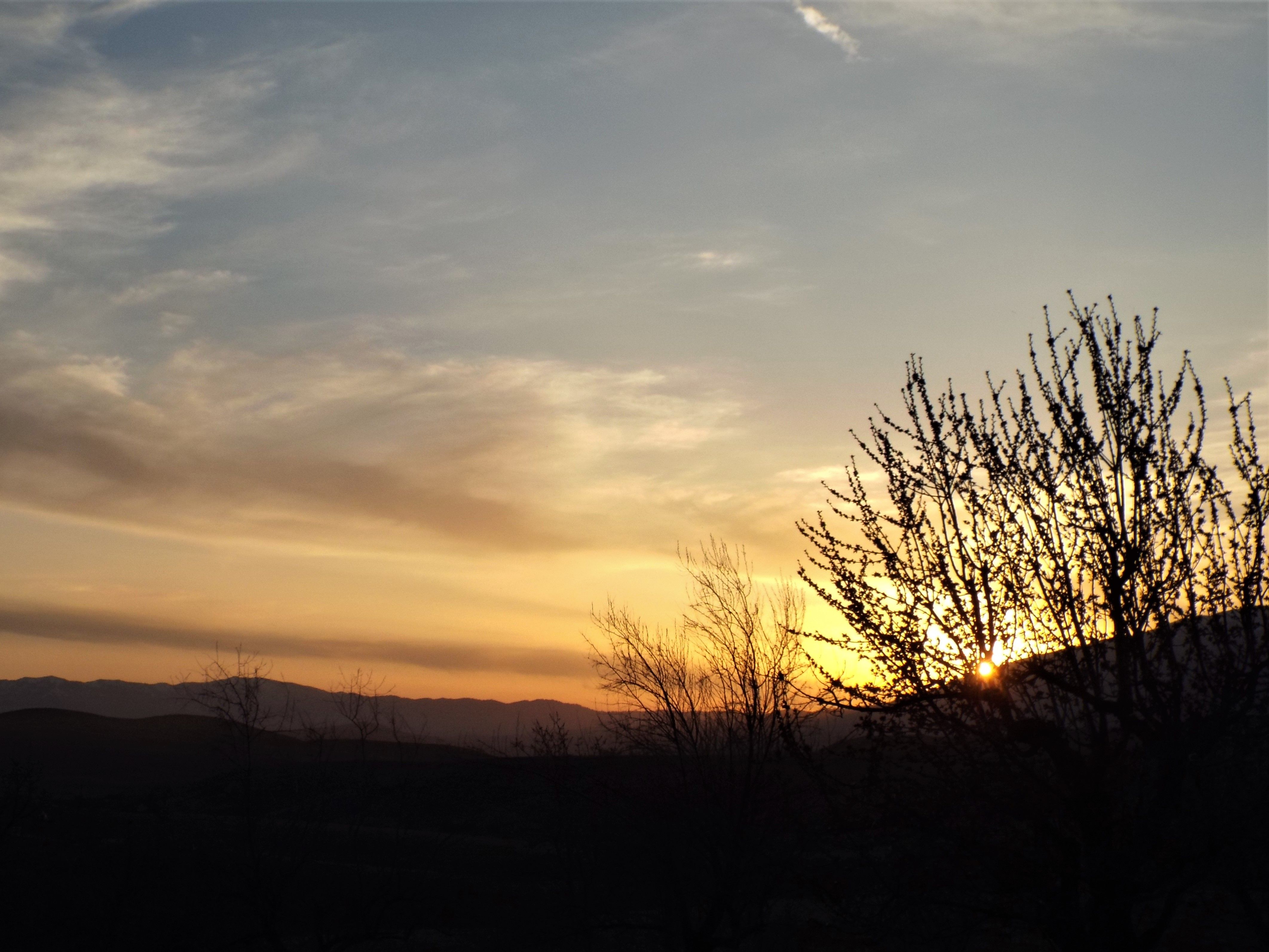 DSCF2105.JPG