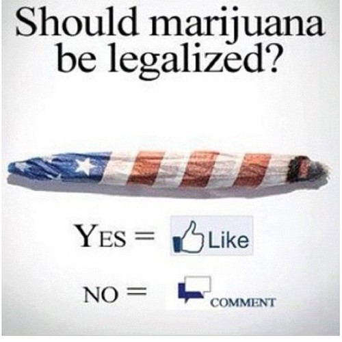 should-marijuana-be-legalized-thcf-thcfinder.jpg