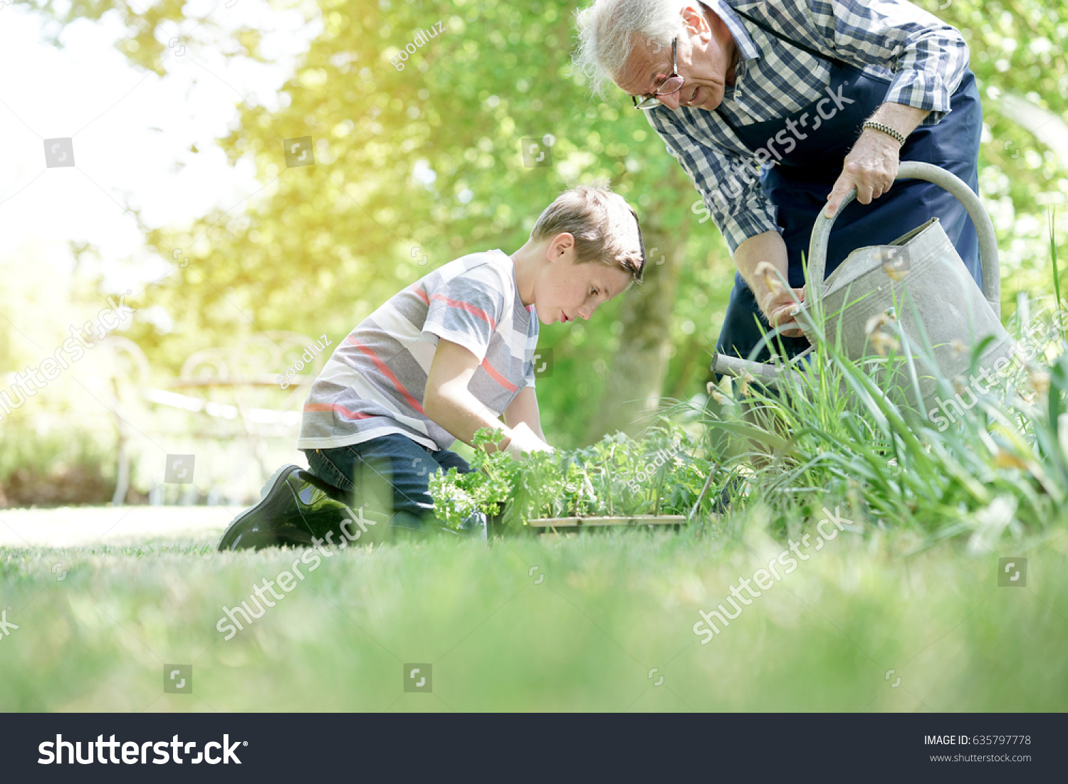 stock-photo-grandfather-with-grandson-gardening-together-635797778.jpg