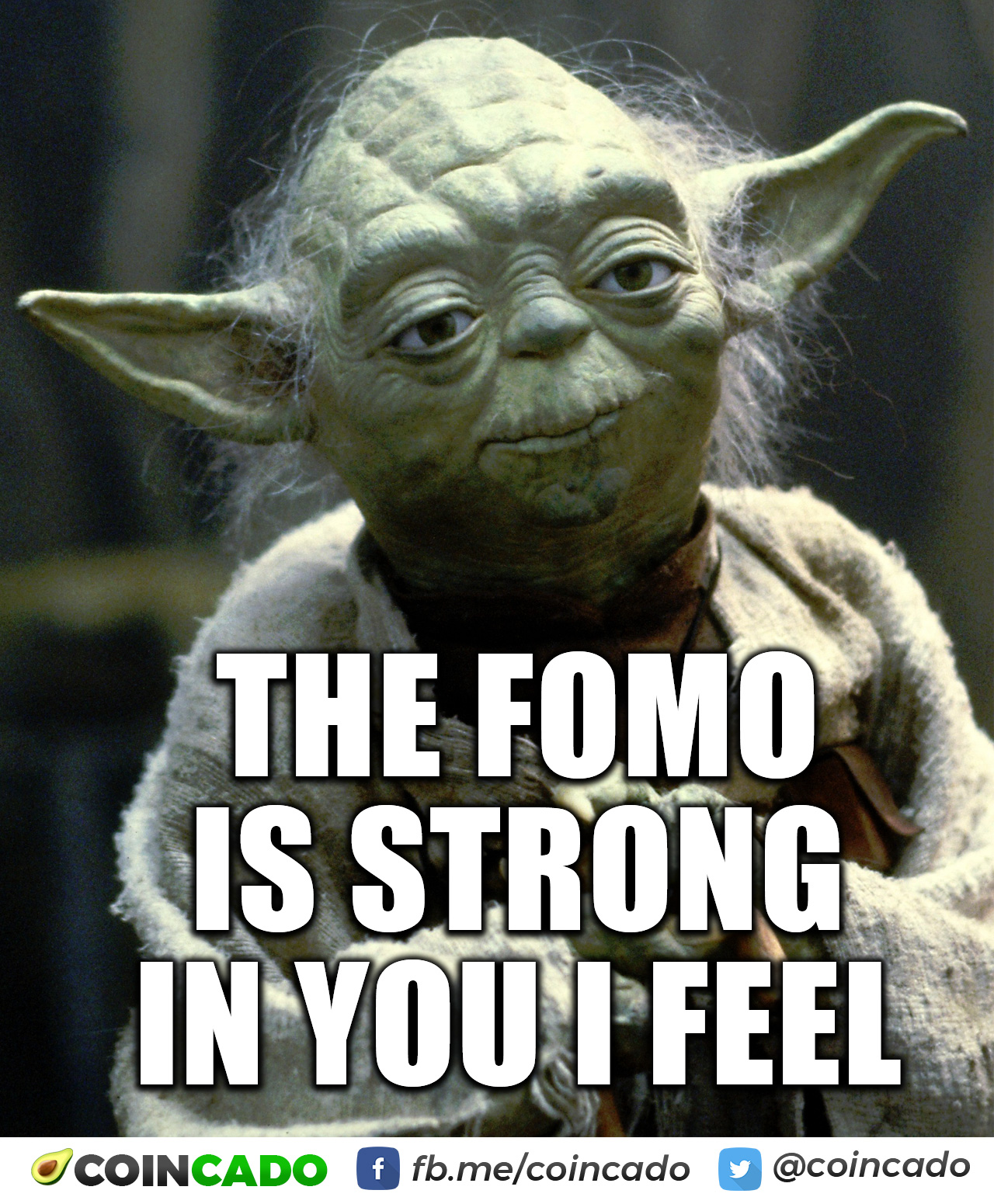 yoda-btc-fomo.jpg