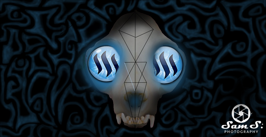 skull.jpg