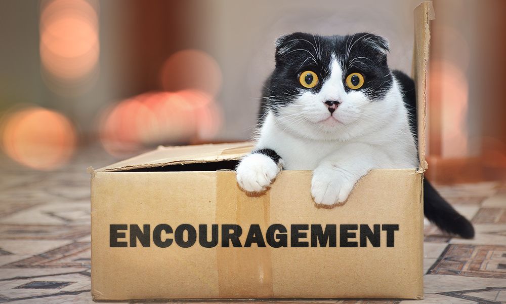 Encouragement_box.jpg