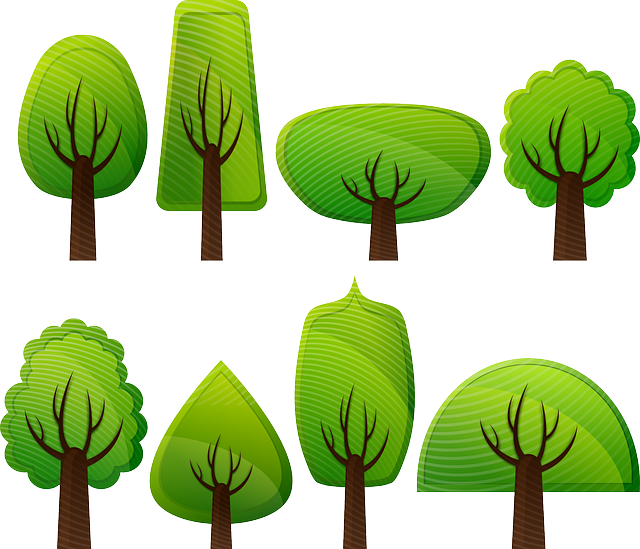 deciduous-trees-154168_640.png