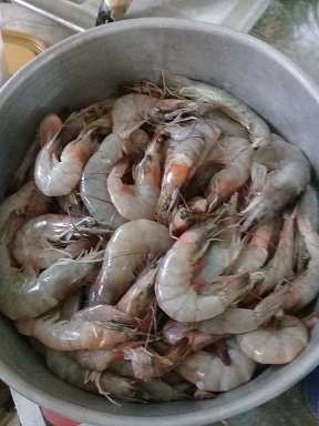 Shrimp.jpg