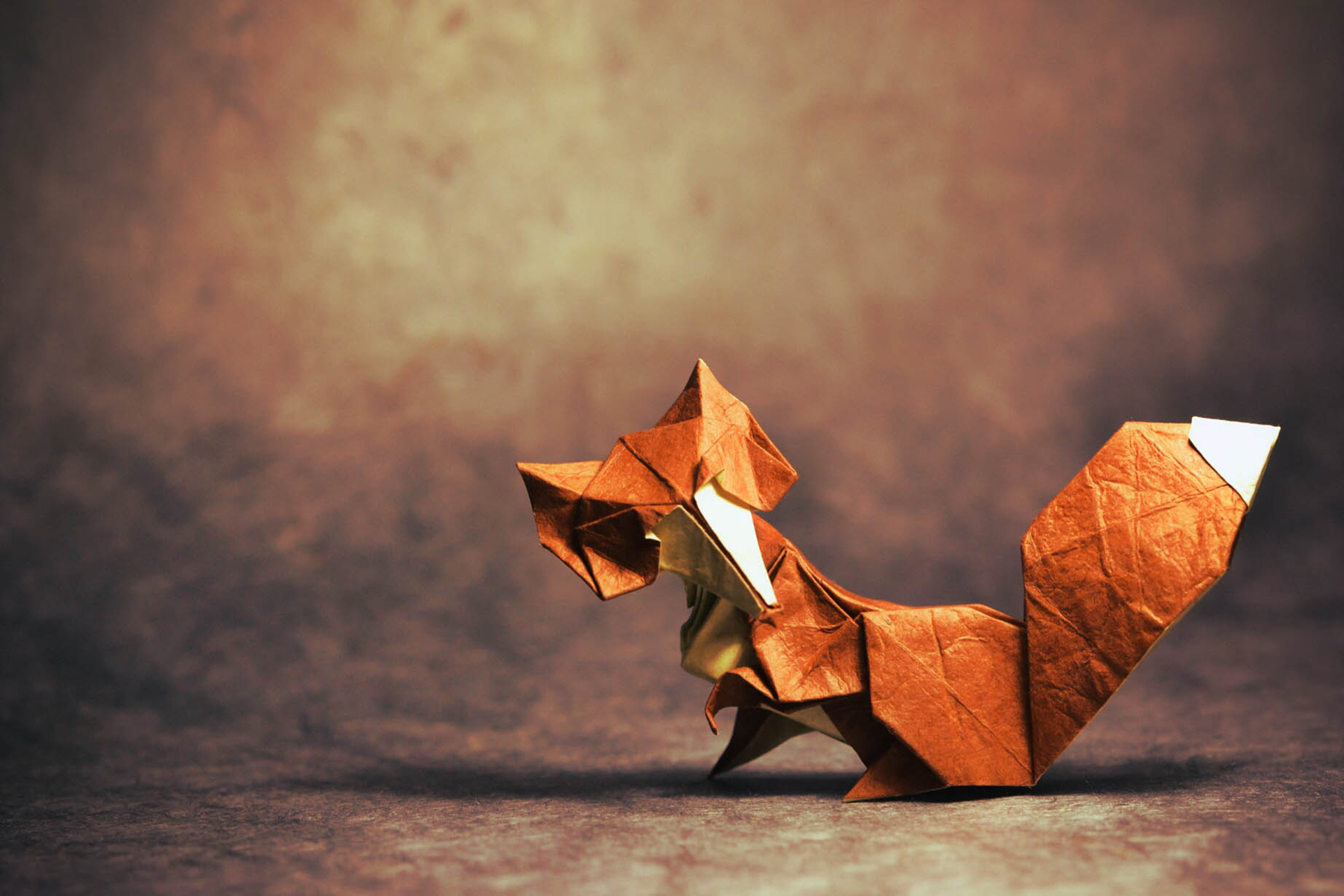 origami-fox-shadow-looking.jpg