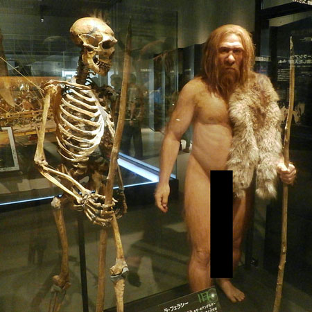 Skeleton_and_restoration_model_of_Neanderthal_La_Ferrassie_1-.jpg