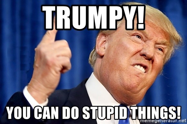 trumpy-you-can-do-stupid-things.jpg