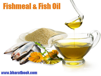 Fishmeal  Fish Oil.jpg