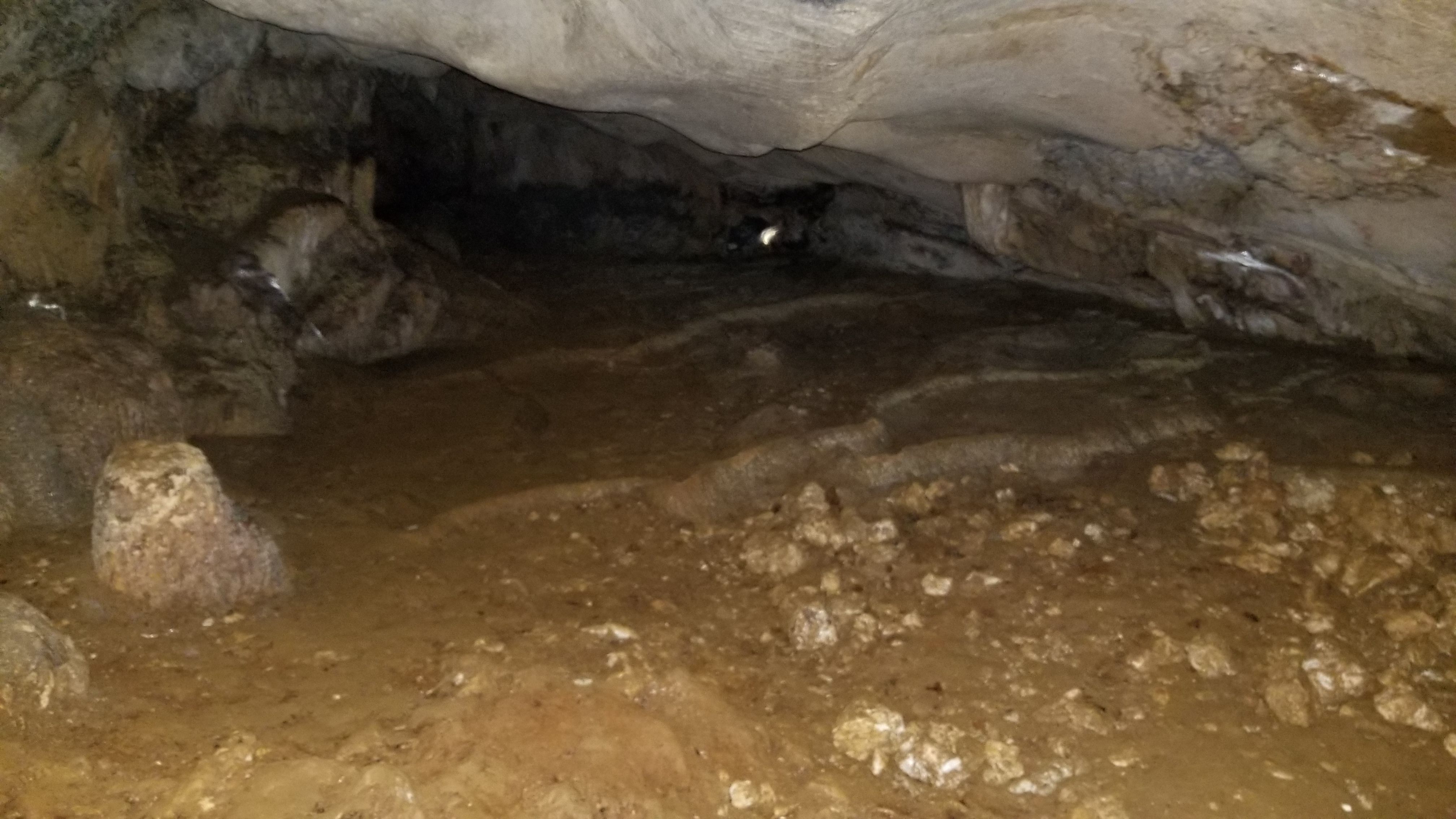 20180518_082914.jpg