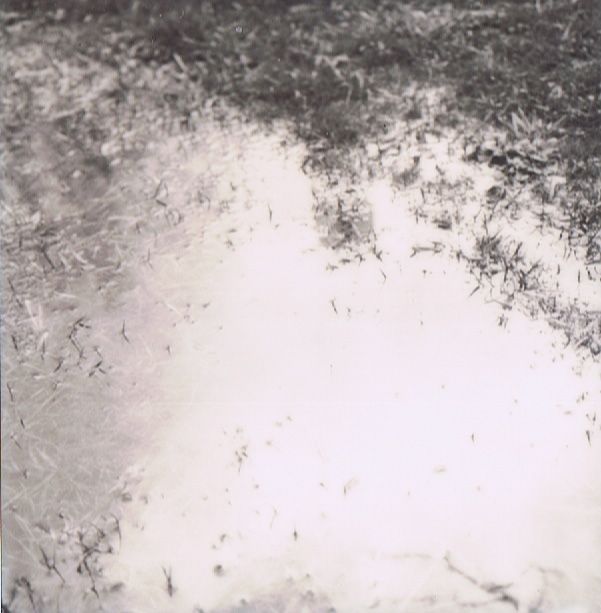 Polaroid_puddle.jpg