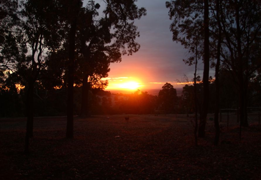 2013 04 25 레이플 집에서 (17).jpg