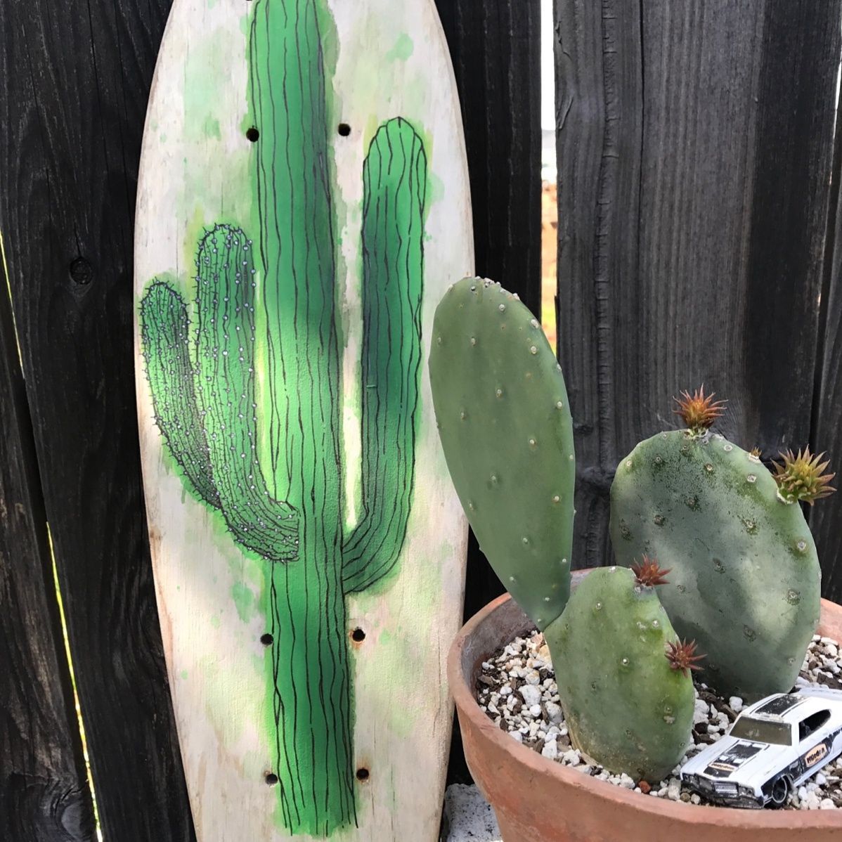 cacti board.jpg