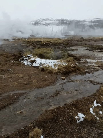Animated GIF-downsized_large (1).gif