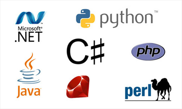 coding-language-for-dynamic-webdevelopment.jpg