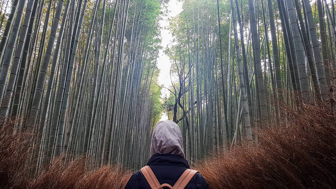 arashiyama-8.jpg