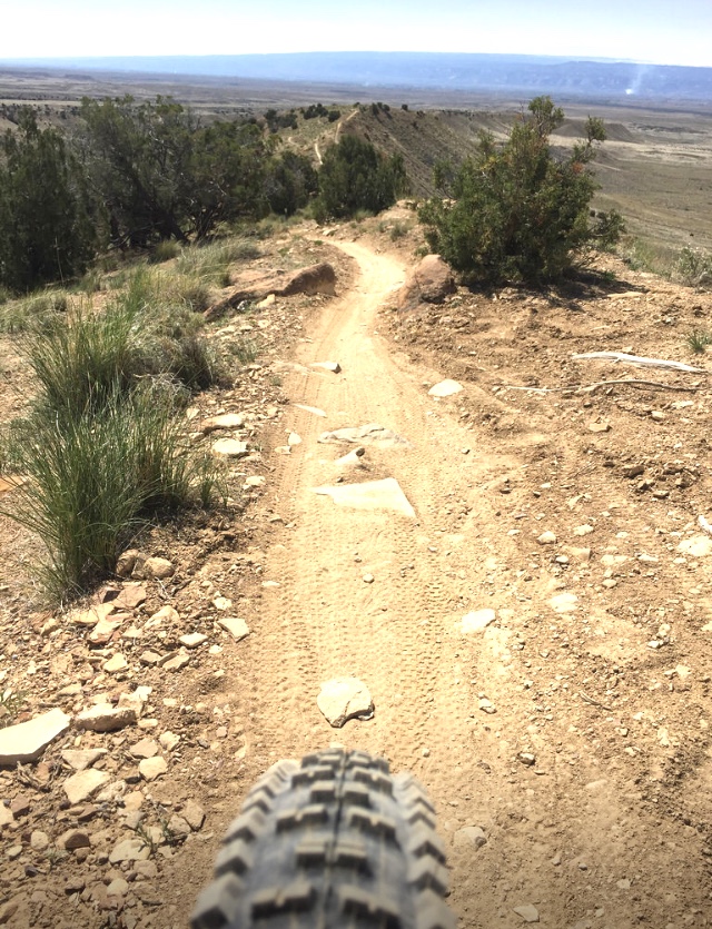 Zip-a-dee-doo-dah mountain bike trail.jpg