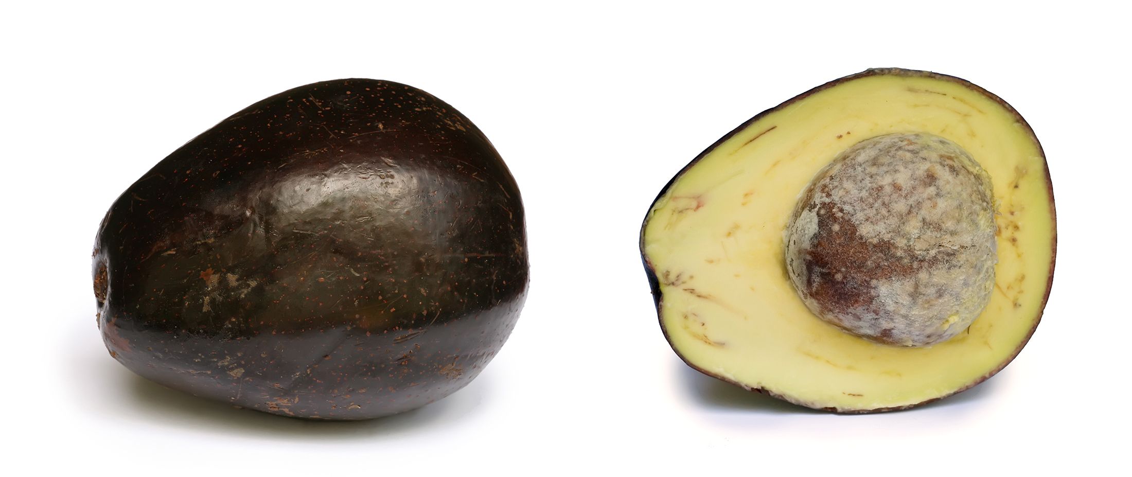 avocado.jpg