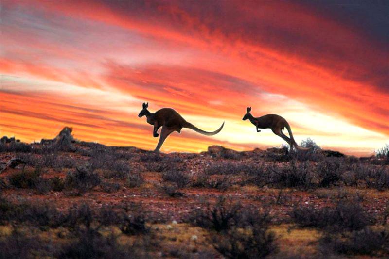 descarga (4![paisajes-de-australia-paisajes-naturales-de-australia.jpg