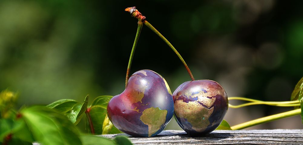 cherries-2584697__480.jpg