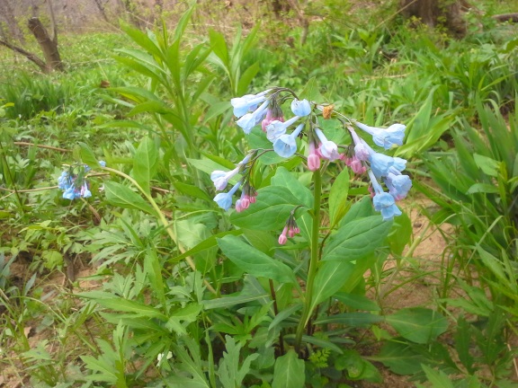 20150412_123304.jpg