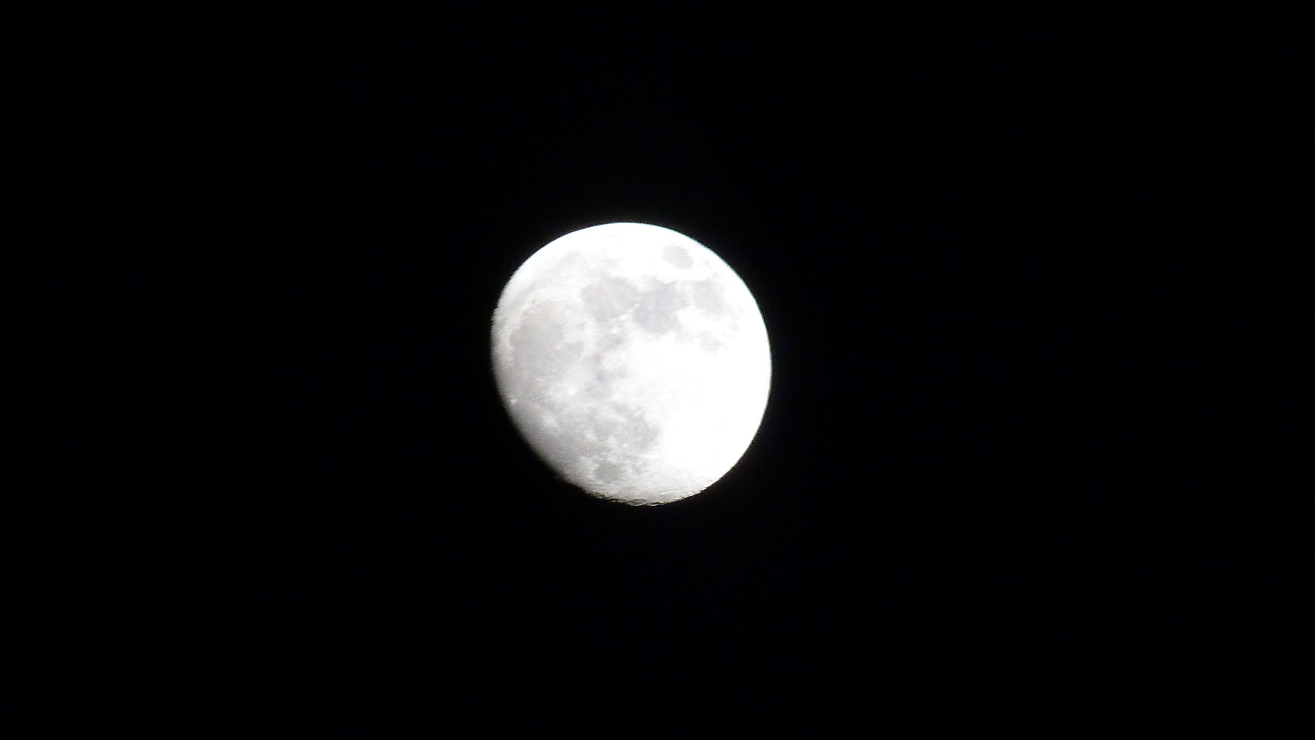 P1040067.JPG